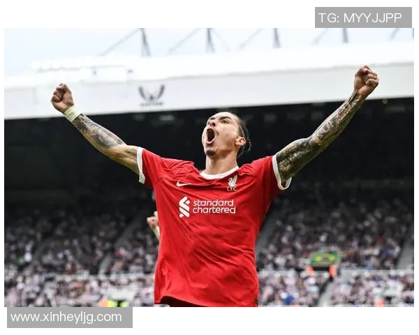 阿尔巴尼亚足球明星的崛起与挑战 盘点现役代表性球员与未来潜力股